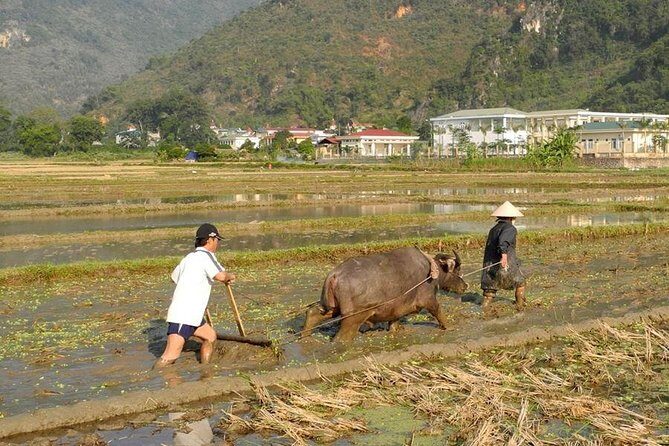 Mai Chau Pu Luong 2 Days 1 Night from Hanoi - FAQ