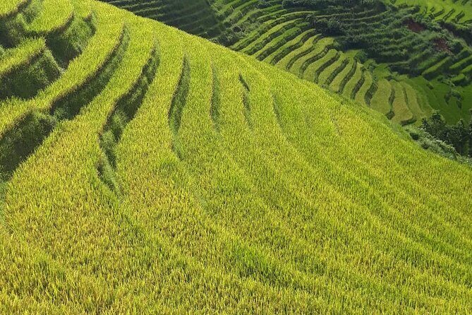 Mai Chau  Pu Luong 2D1N - Key Points