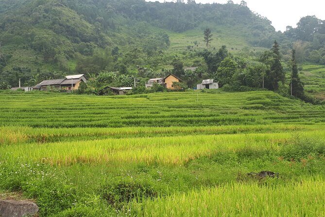 Mai Chau  Pu Luong 2D1N - An In-Depth Look at the Mai Chau - Pu Luong 2-Day Tour