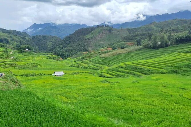 Mai Chau  Pu Luong 2D1N - Practical Tips and Considerations