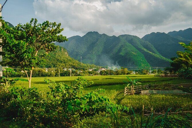 Mai Chau Pu Luong Ninh Binh 4D3N from Hanoi (Overnight each area) - Day 1: From Hanoi to Mai Chau – A Scenic Introduction