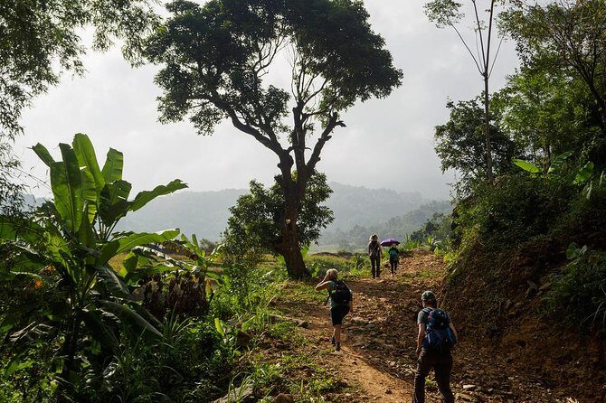 Mai Chau - Pu Luong trekking 3 days 2 nights - What’s Included & What to Expect