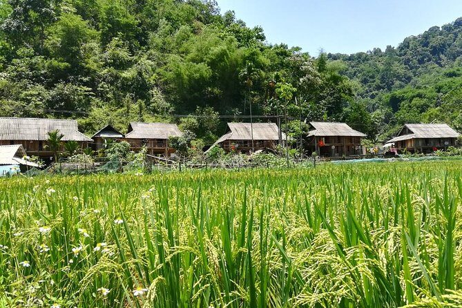 Mai Chau Puluong 3Day Private Tour Terraced Rice fields, Trekking - FAQ
