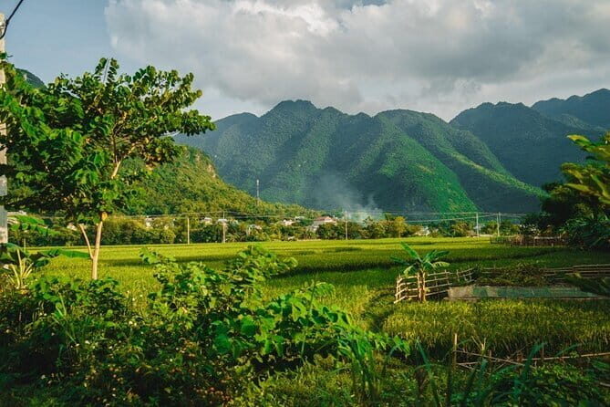 Mai Chau Valley Break Day Trip from Hanoi Old Quarter - A Detailed Look at the Mai Chau Valley Day Tour
