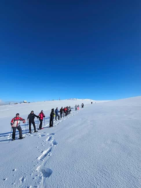 Maiella: Scenic snowshoe hike suitable for all - Key Points