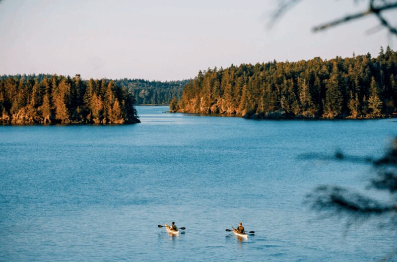 Maine: Half-Day Single Kayak Rental - Key Points