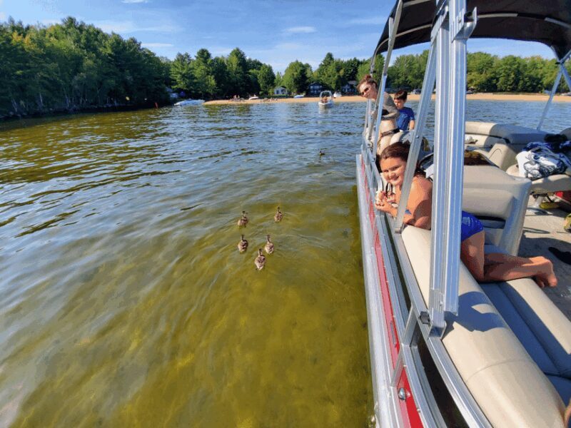 Maine: Penobscot Downriver Boat Rides - An In-Depth Look at the Penobscot River Cruise Experience