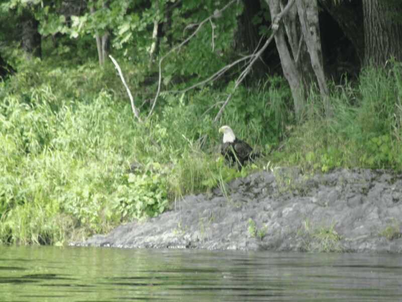 Maine: Penobscot Downriver Boat Rides - FAQs