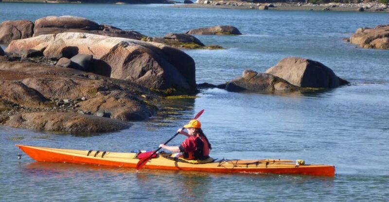 Maine: Penobscot River Guided Kayaking Tour - Final Thoughts
