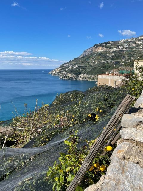 Maiori: Amalfi Coast Path of Lemons Day Trip with Tastings - Key Points