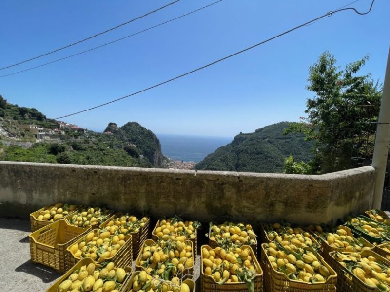 Maiori: Amalfi Coast Path of Lemons Day Trip with Tastings - FAQs