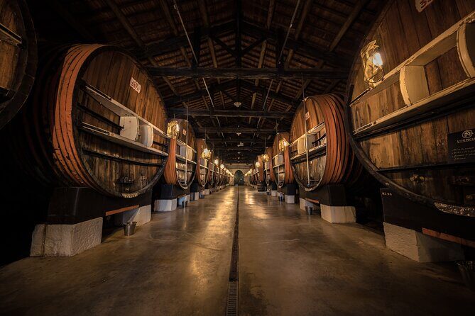 Maison Noilly Prat VIP tour, wine and vermouth tastings - An In-Depth Look at the Maison Noilly Pratt VIP Experience