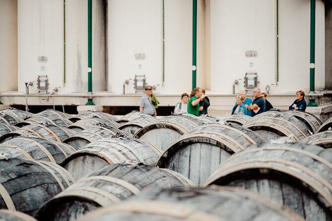 Maison Noilly Prat VIP tour, wine and vermouth tastings - The Sum Up