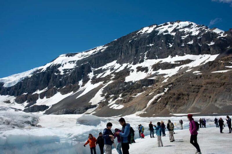 Majestic Icefield Private Day Tour from Calgary - An Overview of What This Tour Offers