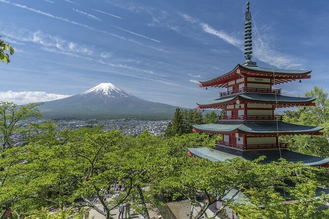 Majestic Mt. Fuji & Hakone Retreat A Private Day Tour from Tokyo - A Detailed Look at the Tour Experience