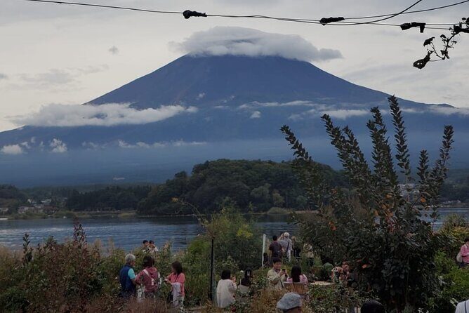 Majestic Mt. Fuji & Hakone Retreat A Private Day Tour from Tokyo - Who Would Love This Tour?