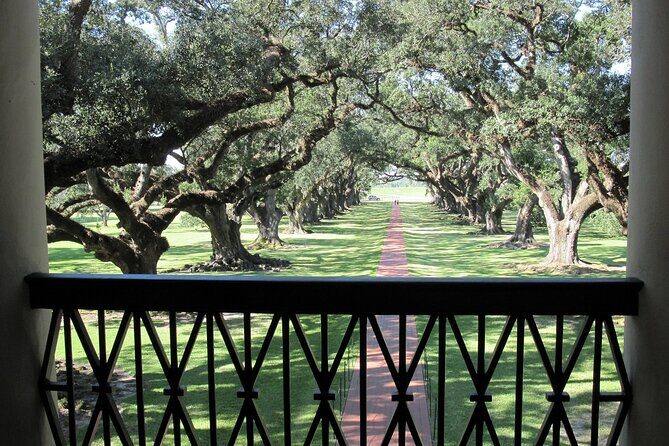 Majestic Oak Alley Plantation Tour - Exploring the Itinerary in Detail