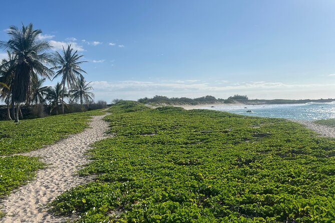 Makalawena Hike and Swim with Native Hawaiian - Frequently Asked Questions