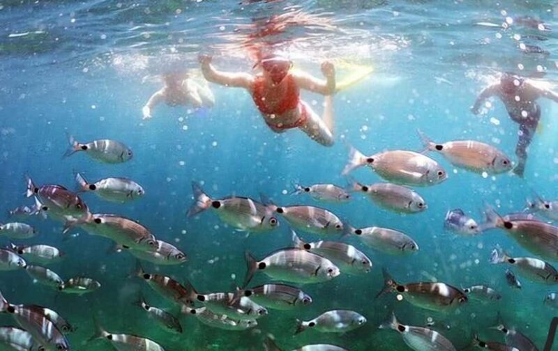 Makarska: 3 island, Cave, Cliffs, Jelsa, Lagoon, Golden Horn - FAQ