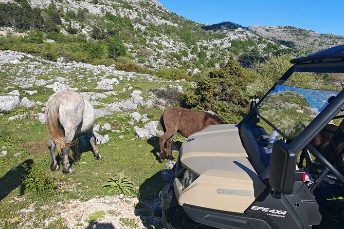 Makarska: Baggy Skywalk & Biokovo viewpoint Tour - Final Thoughts