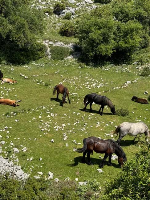 Makarska: Skywalk Tuk-Tuk Tour with Skip-the-Line Ticket - Authentic Experiences and Real Reviews