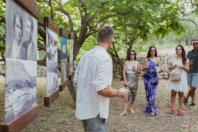 Makarska Tuk Tuk Tour Olive Grove, Scenic Views and Tastings - Who Is This Tour Perfect For?