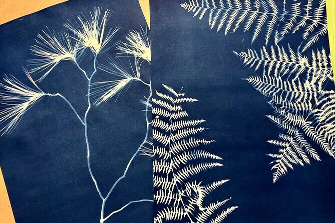 Make Sun Prints in the Desert - Who Will Love This Experience?