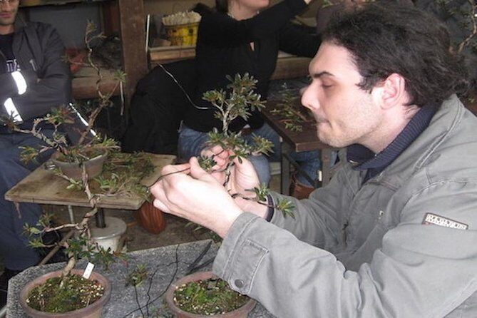 Make your own BONSAI with a professional artist in Tokyo - In-depth Review