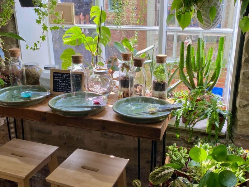 Make Your Own Terrarium in a houseplant paradise - Key Points