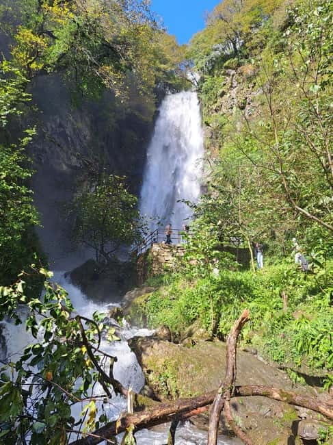 Makhuntseti: Day Tour with Waterfall, Arch Bridge - Who Will Love This Tour?
