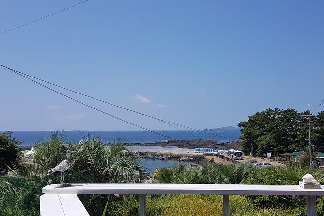 Making Jeju Pony Doll at Peaceful Seaside cafe - Final Thoughts