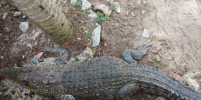 Malacca Zoo & Crocodile Park Tour from Kuala Lumpur with Lunch - Introduction