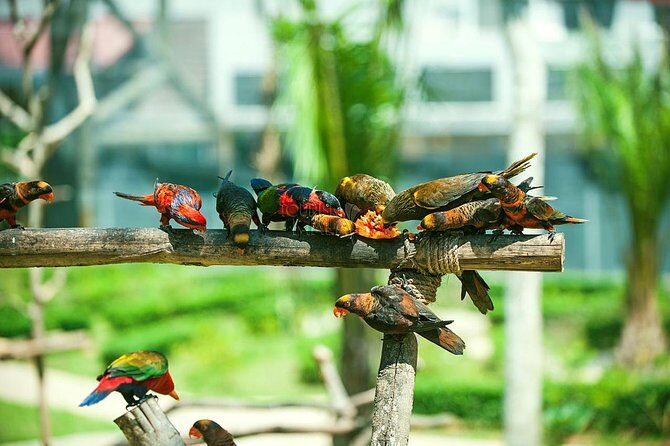 Malacca Zoo & Crocodile Park Tour from Kuala Lumpur with Lunch - Who Should Consider This Tour?