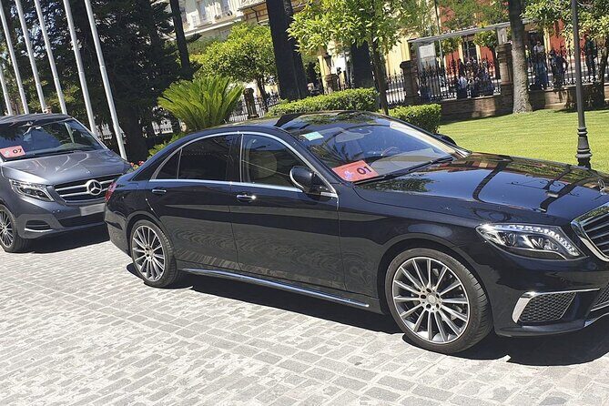 Malaga Airport (Costa del Sol) Private Arrival Transfer - FAQs