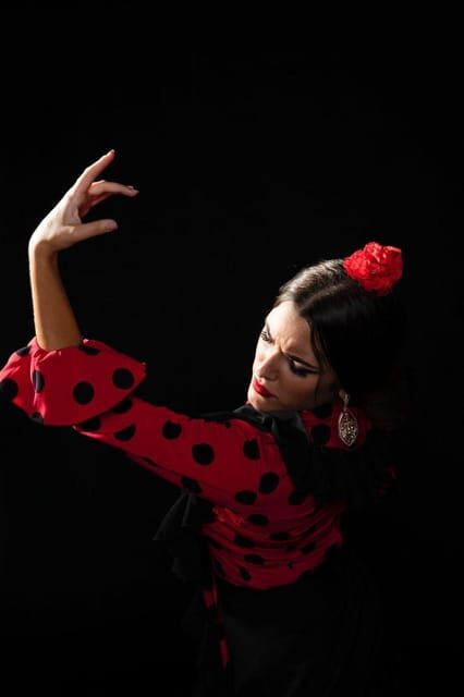 Malaga: Authentic Flamenco Dinner Show at Vino Mio - Authentic Flamenco & Cultural Insights