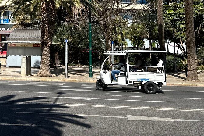 Malaga by Tuk Tuk i : 1 or 2 hours Private city tour - Why Choose a Malaga Tuk Tuk Tour?