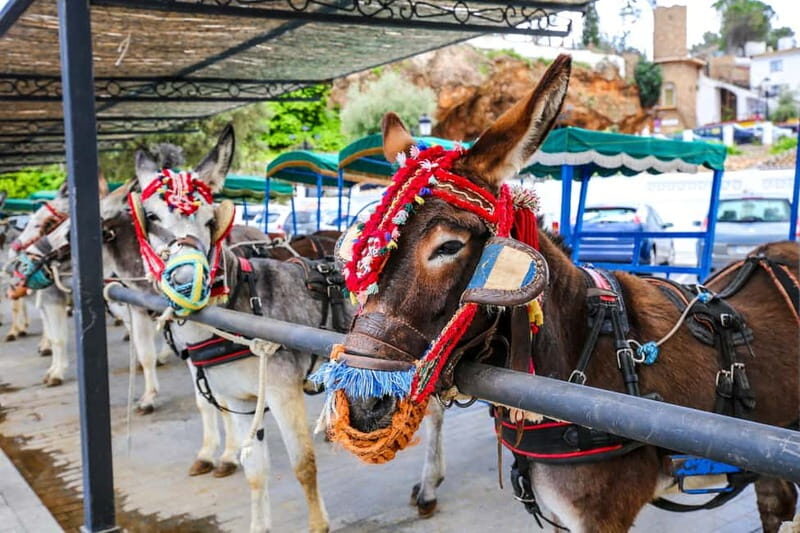 Malaga, Catamaran ride and Mijas Pueblo - Final Thoughts: Is This Tour Right for You?