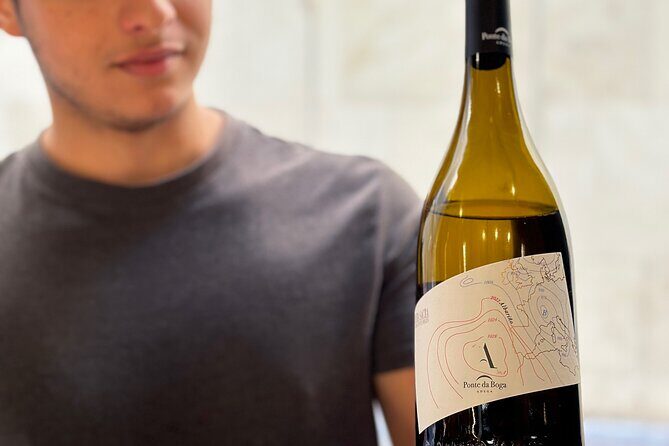 Malaga City Wine Tour - Why This Tour Is a Great Choice