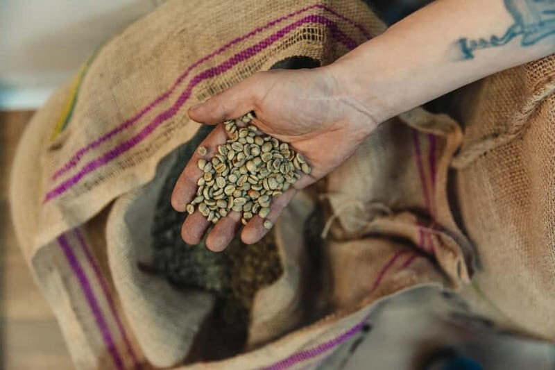 Malaga Coffee Tour & City Tour - with Spanish Tapas & Drinks - Walking Through Malaga’s Historic Center