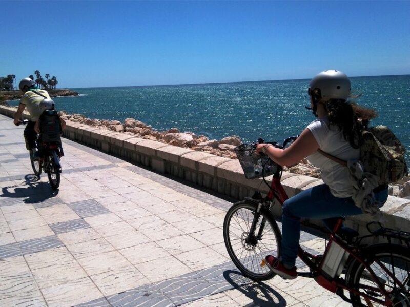 Málaga E-Bike Tour with Full Day Rental - The Sum Up