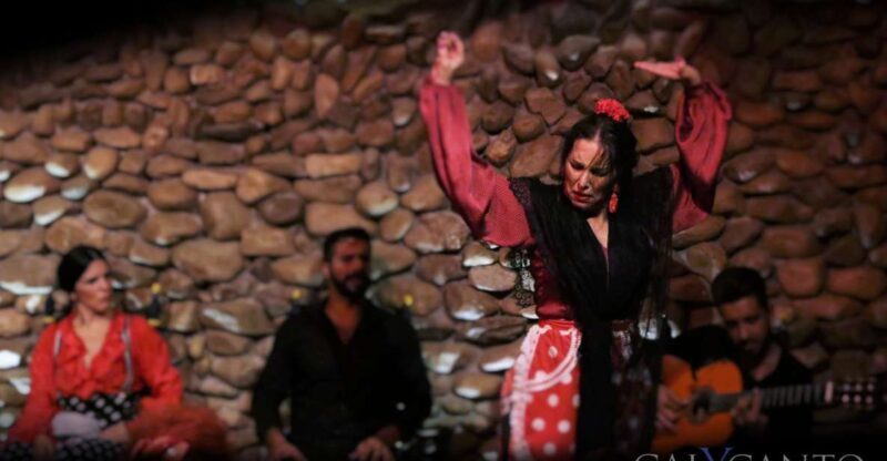Malaga: El Gallo Ronco Flamenco Show Admission Ticket - Value and Practical Considerations