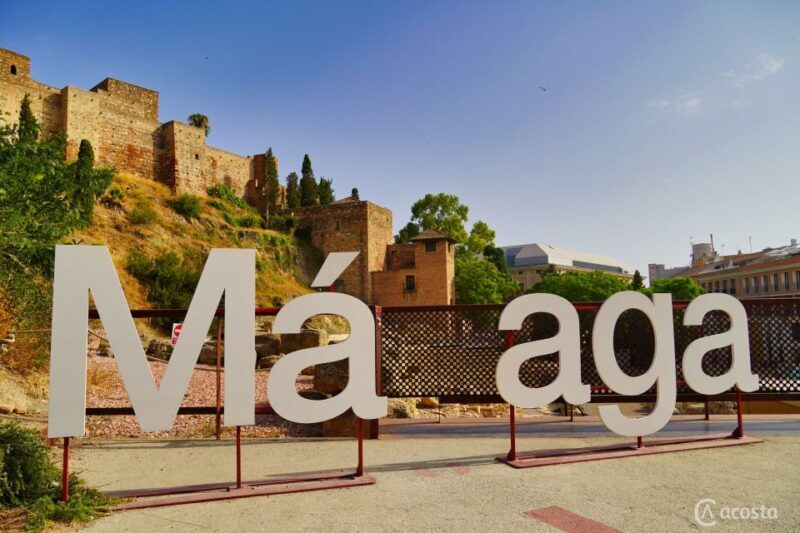 Malaga: Electric Car City Tour and visit Gibralfaro Castle - Key Points