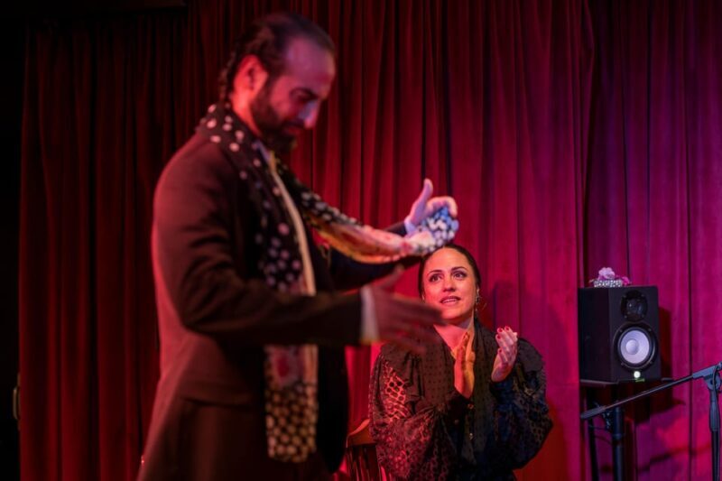 Málaga: Flamenco Course 4pm + 1-Hour Show, 3 Tapas and Drink - Final Thoughts