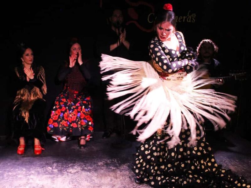 Malaga Gastronomic and Cultural Tour: Tapas, Wine & Flamenco - Final Thoughts