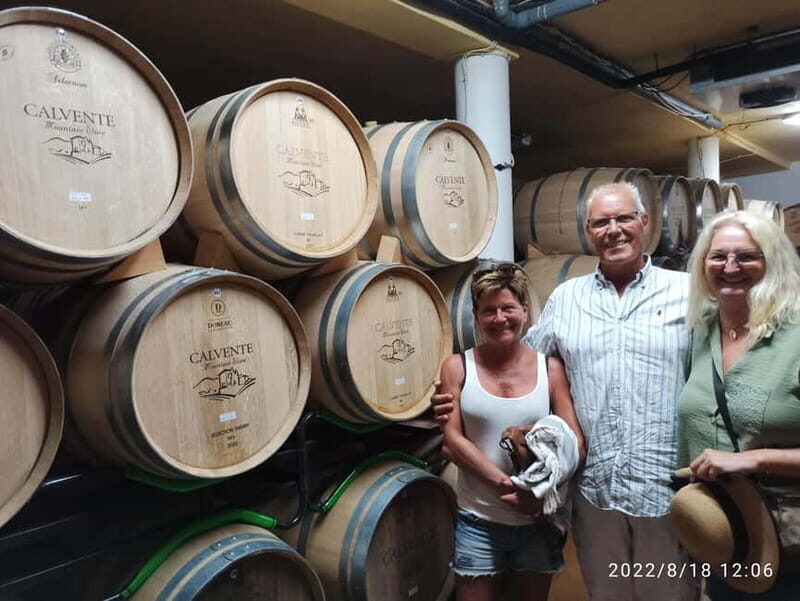 Malaga & Granada: Wine Tasting and Tapas with Resort Pickup - Who Will Enjoy This Tour?