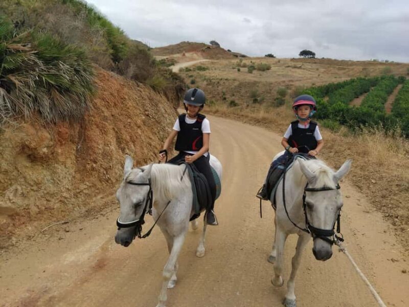 Malaga  Guadalhorce Valley: Horseback Riding Tour with Local Guide - What Could Be Improved