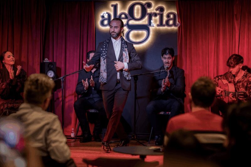 Málaga: Live Flamenco Show at Flamenco Alegría - An Honest Look at Flamenco Alegría: What to Expect