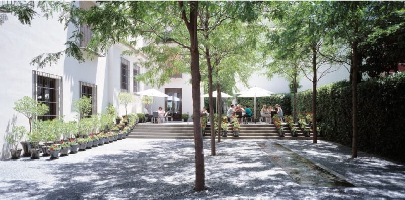 Málaga: Museo Picasso Málaga Entry Ticket - Visitor Experience and Insights