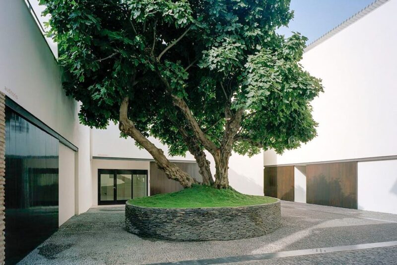 Málaga: Museo Picasso Málaga Entry Ticket - Food, Shopping, and Relaxation