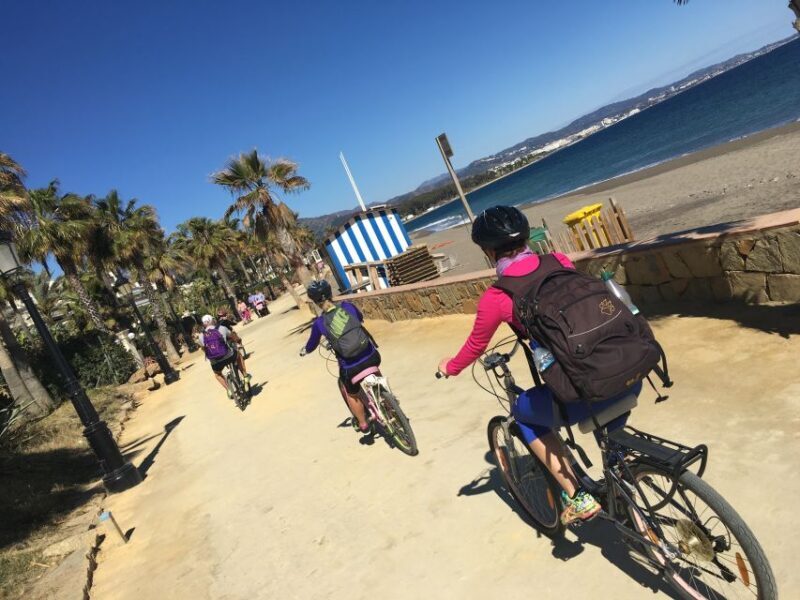 Malaga: Premium Guided Bike Tour - Value and Practical Considerations